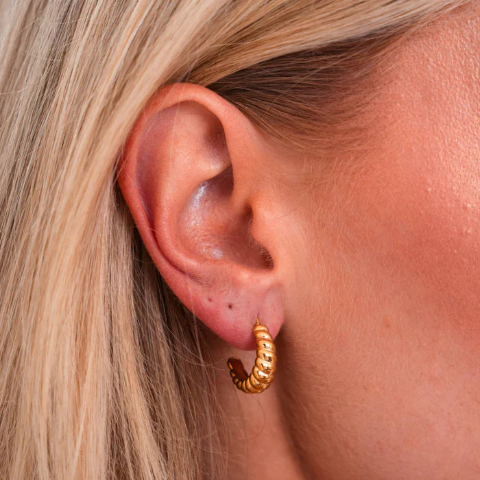 Kruasano formos auskarai