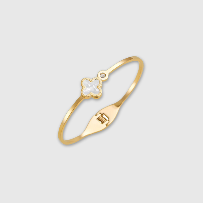 Aštrus ugnies (raudonas)